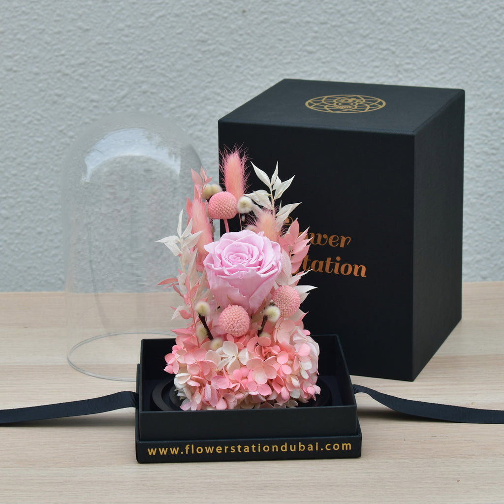 Pink beauty erernal roses _1