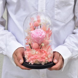 Pink beauty erernal roses 