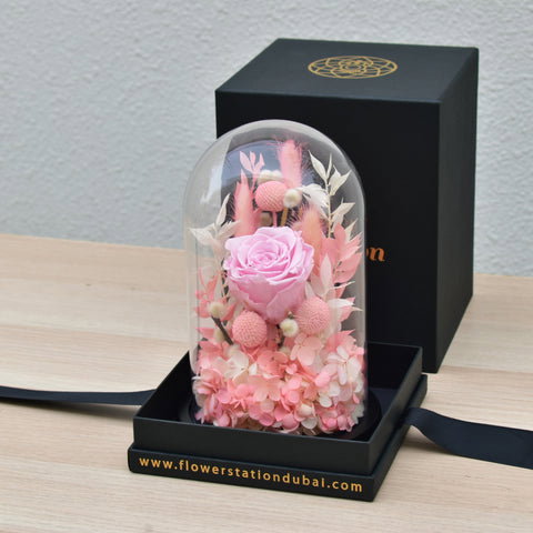 Pink beauty erernal roses 
