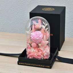 Pink beauty erernal roses 