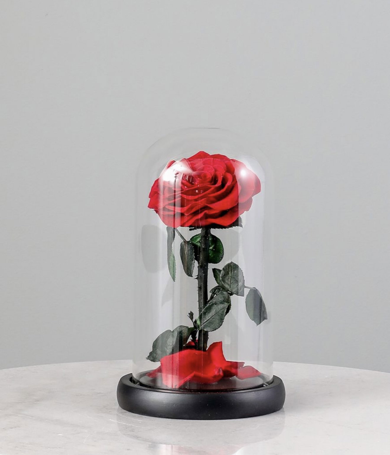 SINGLE LARGE LUXURIOUS ETERNAL ROSE_3