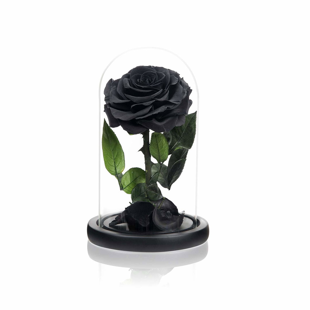SINGLE LARGE LUXURIOUS BLACK ETERNAL ROSE