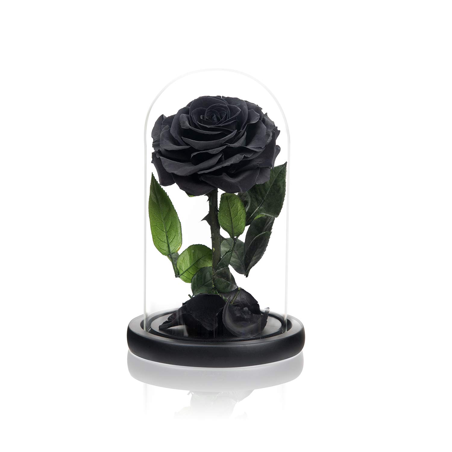 SINGLE LARGE LUXURIOUS BLACK ETERNAL ROSE_0