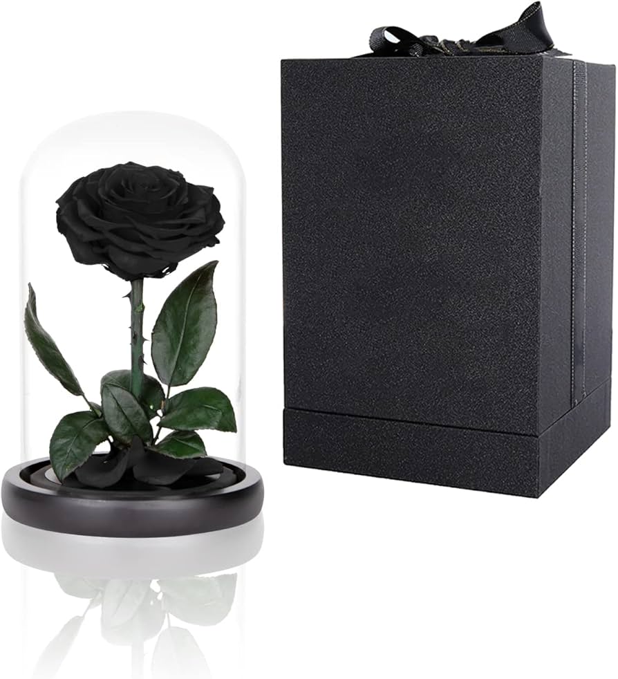 SINGLE LARGE LUXURIOUS BLACK ETERNAL ROSE_1