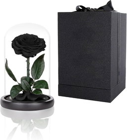 SINGLE LARGE LUXURIOUS BLACK ETERNAL ROSE