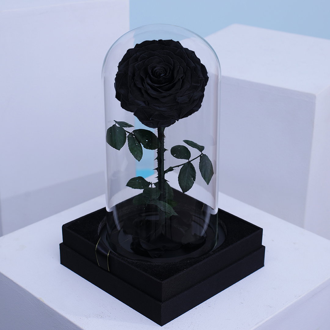 SINGLE LARGE LUXURIOUS BLACK ETERNAL ROSE_2