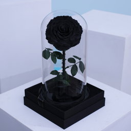 SINGLE LARGE LUXURIOUS BLACK ETERNAL ROSE