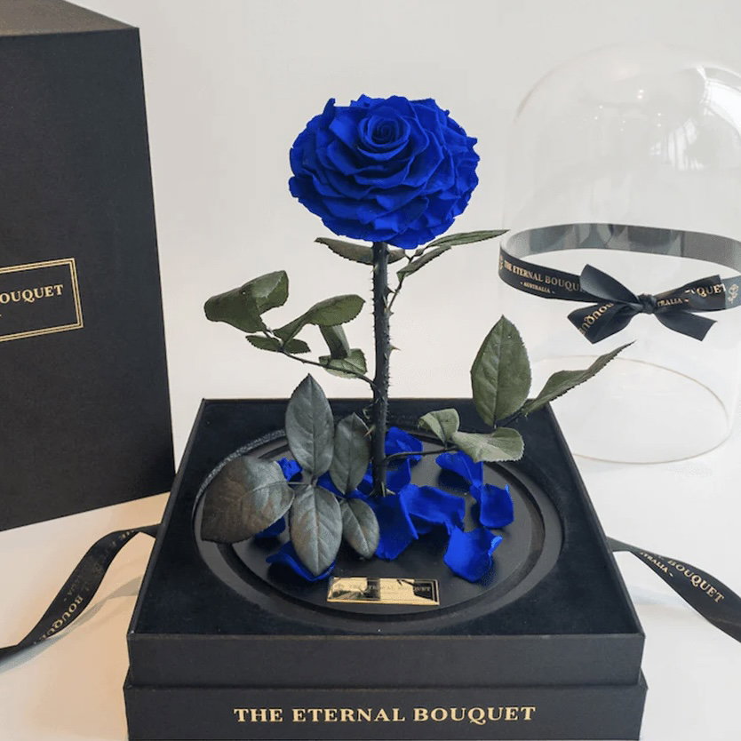 SINGLE LARGE LUXURIOUS BLUE ETERNAL ROSE_0