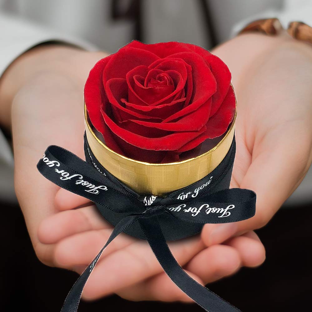 Single Mini eternal rose 