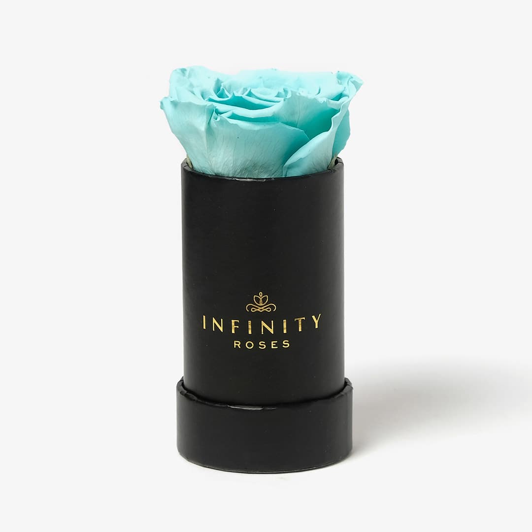 Single Mini tiffany eternal rose_0