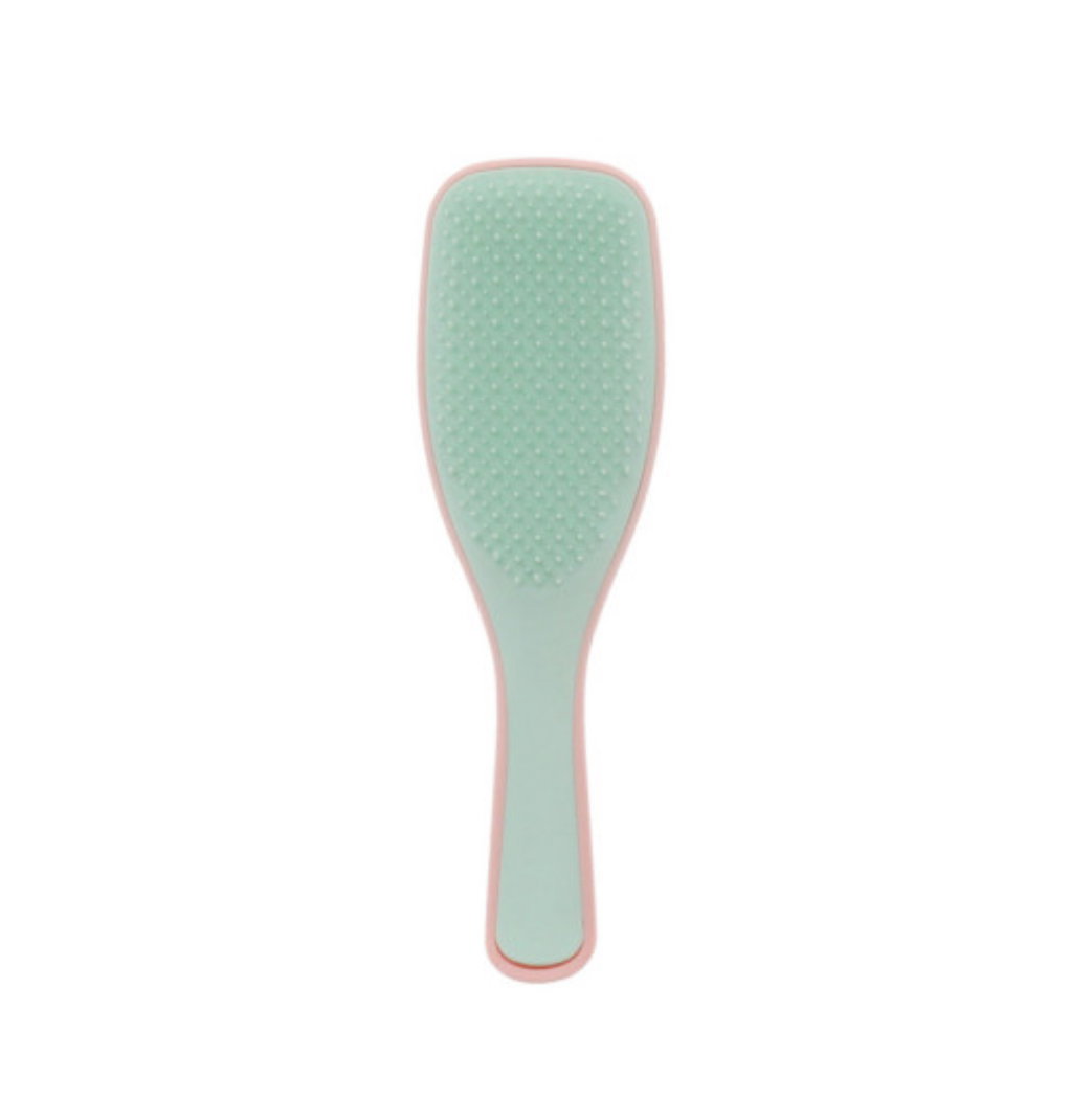 Brosse démélante _1