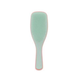 Brosse démélante 