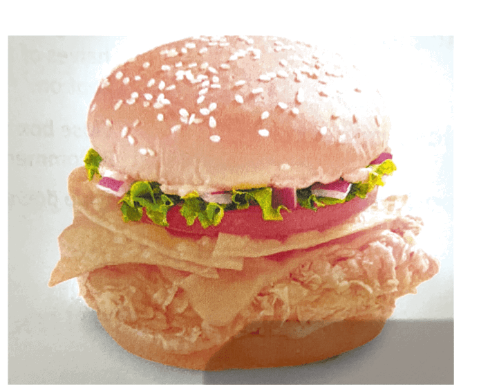 POULET BURGER _3