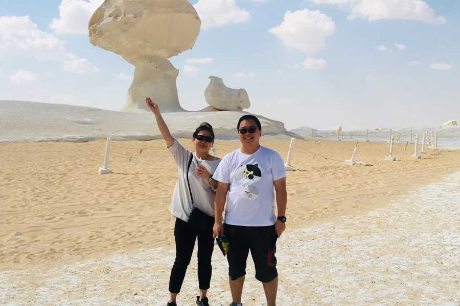 Day Trip to Bahariya Oasis: Visit Black and White Desert from Cairo_1