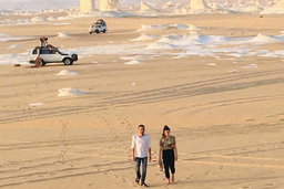Day Trip to Bahariya Oasis: Visit Black and White Desert from Cairo