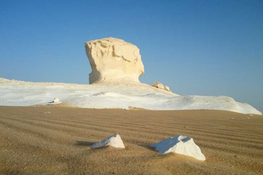 Day Trip to Bahariya Oasis: Visit Black and White Desert from Cairo