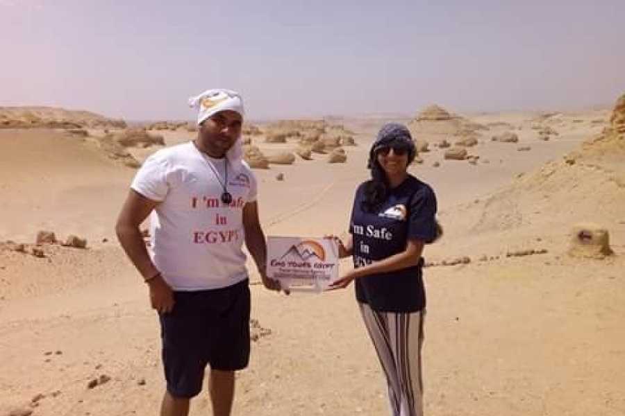 Tour to Whales Valley and Wadi El Rayan Waterfalls in El Fayoum from Cairo