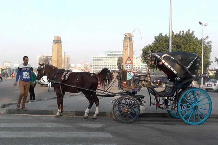 Cairo by Night and Free walking tours in Cairo_0