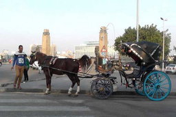 Cairo by Night and Free walking tours in Cairo