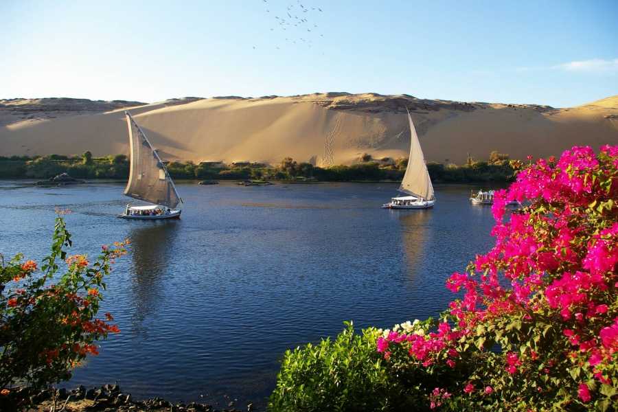 Private tour to Botanical garden with Felucca ride on Aswan Nile River