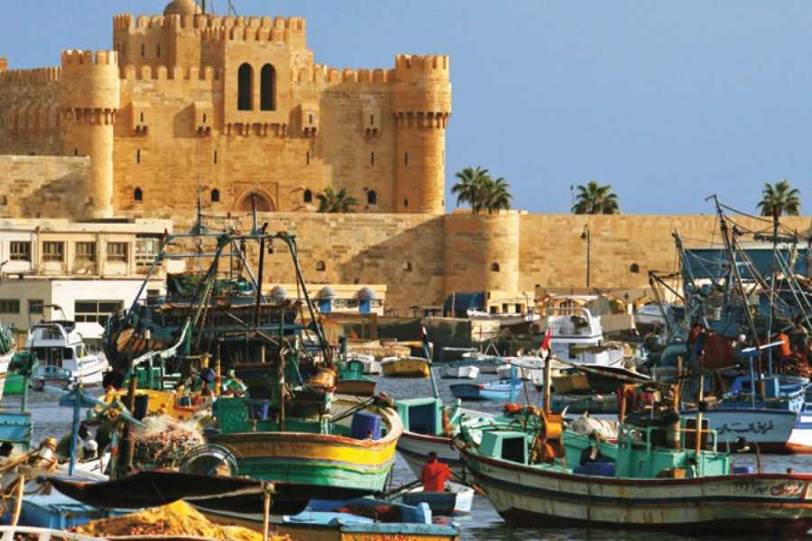 Alexandria Day Tour – Visit the Top Attractions of Alexandria City