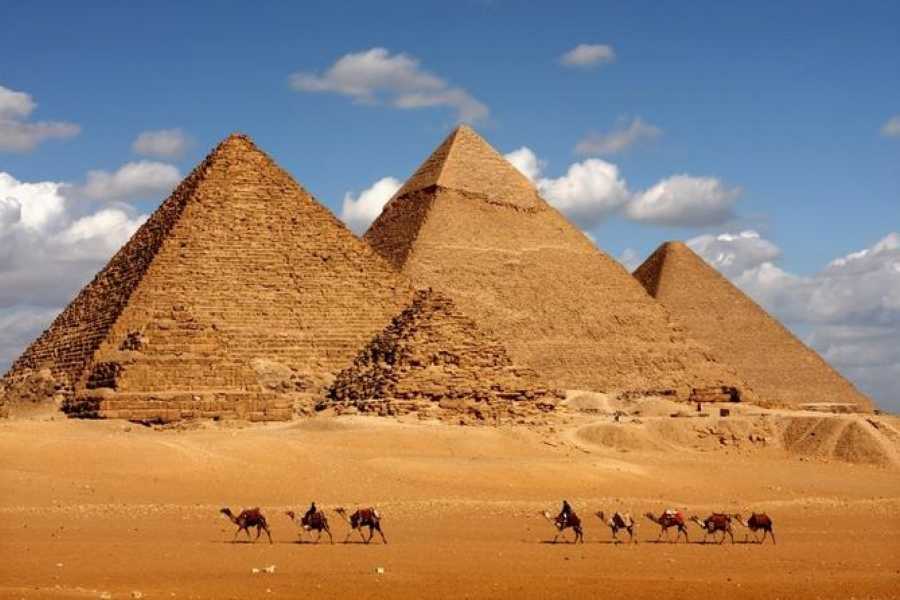 Day Tour to Cairo from Alexandria_0