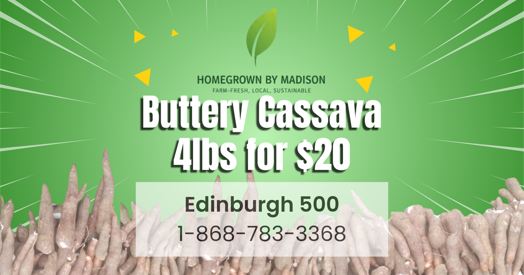 Cassava