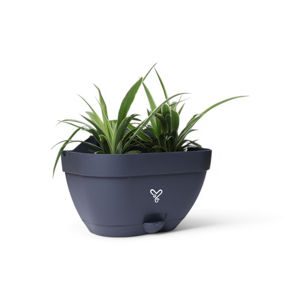 Vertical Garden Wall Mounted Self Watering Pot with Hook | Pack of 2 | Grey_8