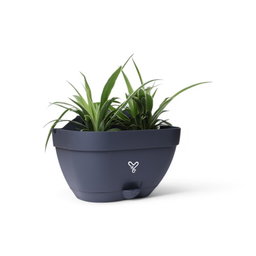 Vertical Garden Wall Mounted Self Watering Pot with Hook | Pack of 2 | Grey