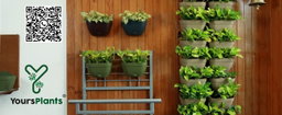 Vertical Garden Wall Mounted Self Watering Pot with Hook | Pack of 2 | Grey