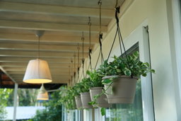 Hanging Self Watering Pot, 8inch, Vertical Hook & 12.5'' Chain | Pack of 2 | Ivory