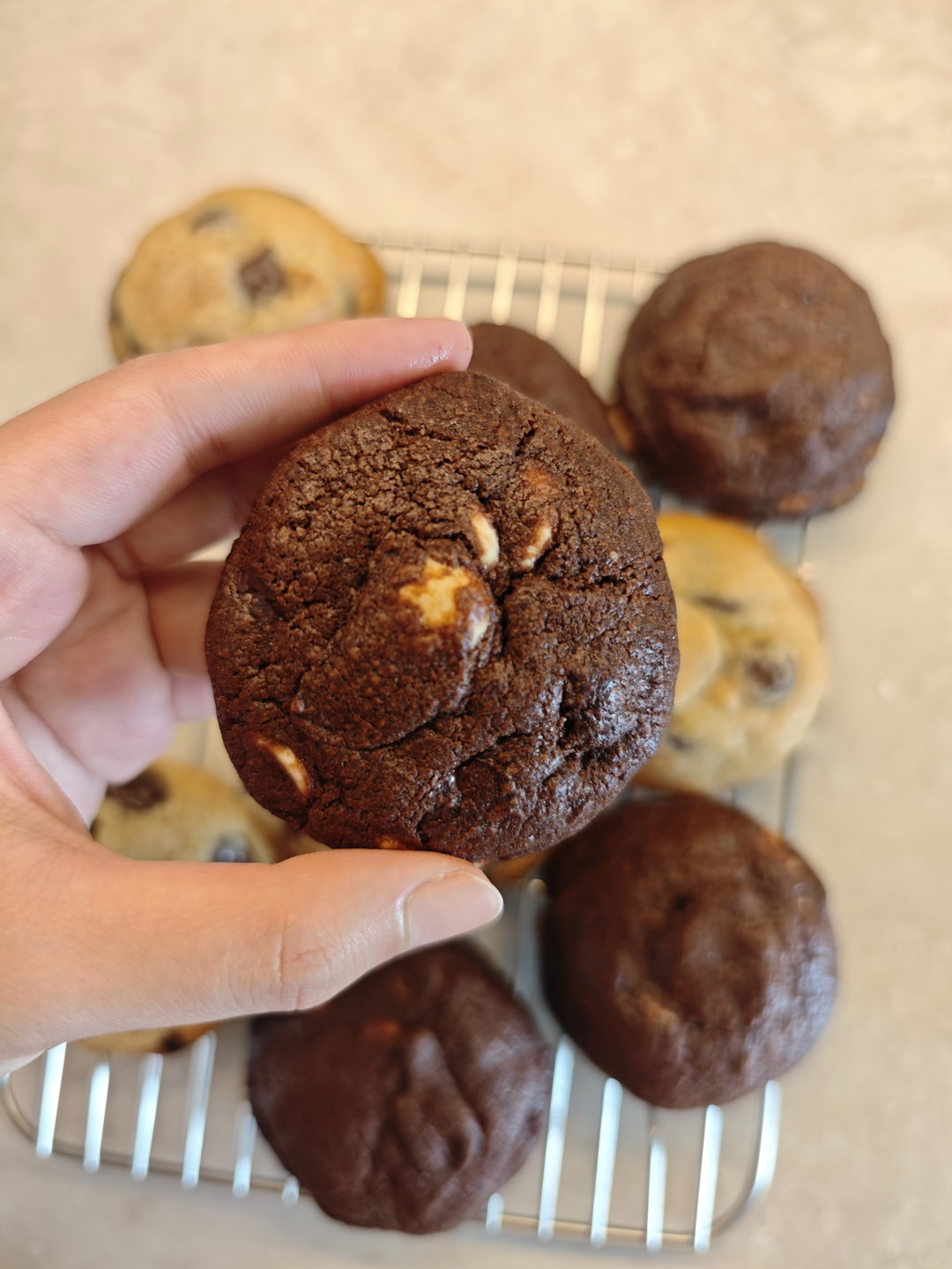 Dark Chocolate Soft Cookie