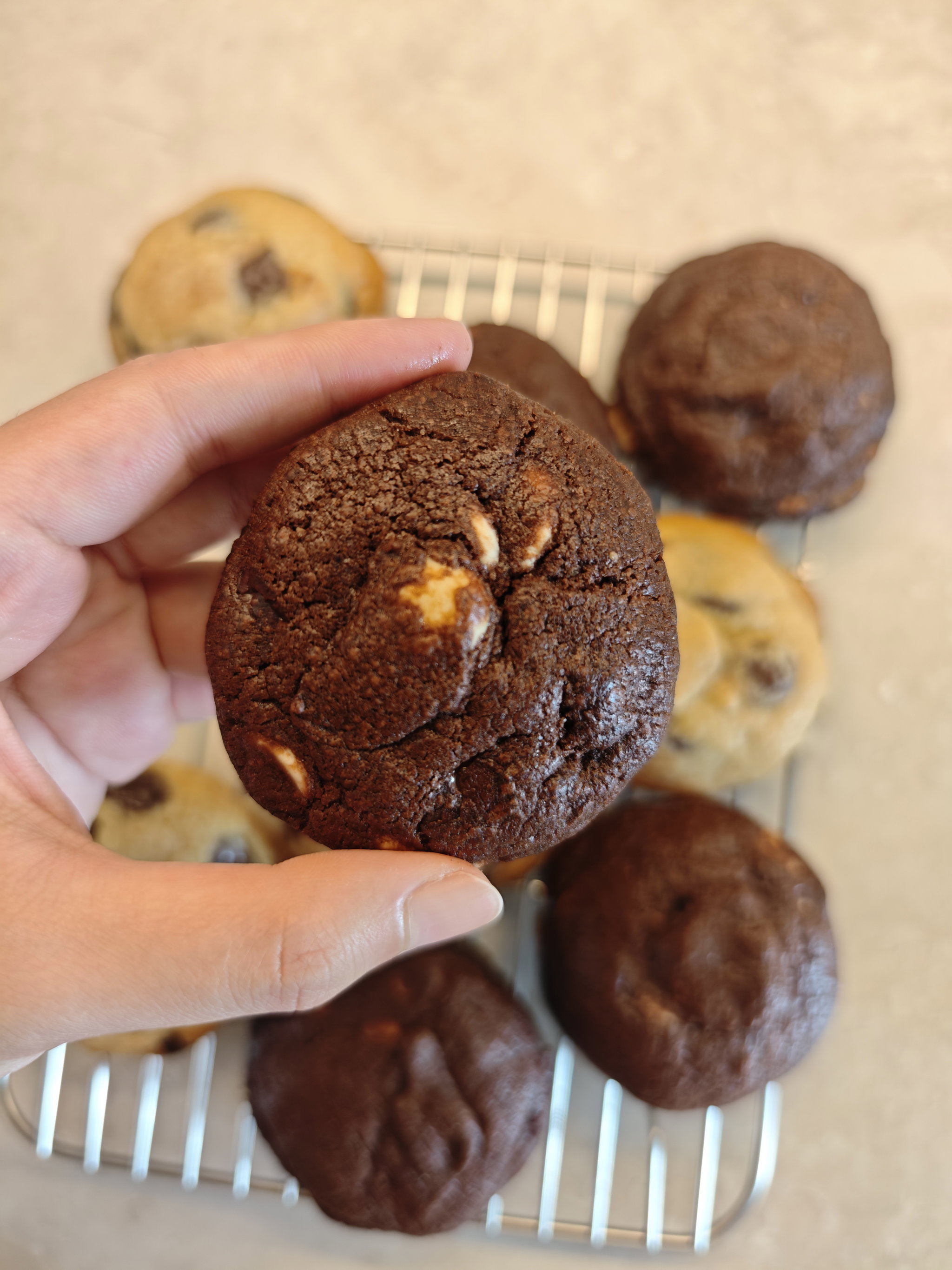 Dark Chocolate Soft Cookie_0