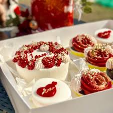Bento Cake & 5 Cupcakes