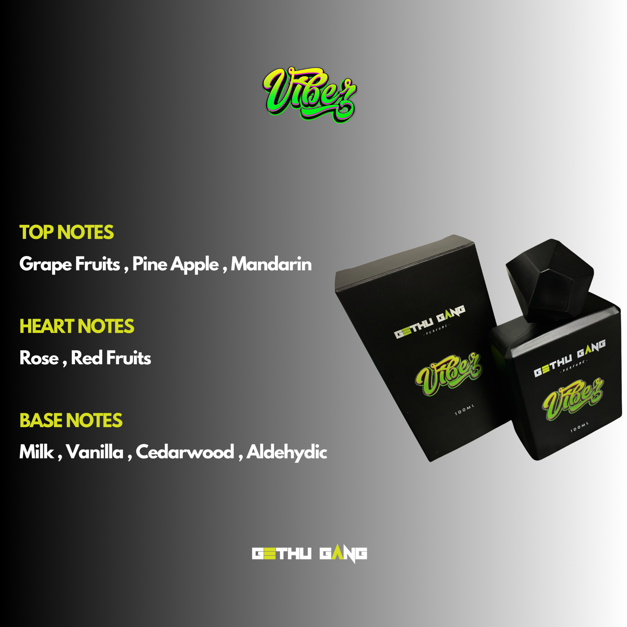 VIBEZ - Perfume 100ml (EDP) Unisex _2
