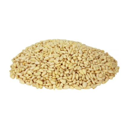 Pannenkurse | صنوبر_0