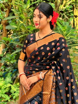 Soft silk katan sharee