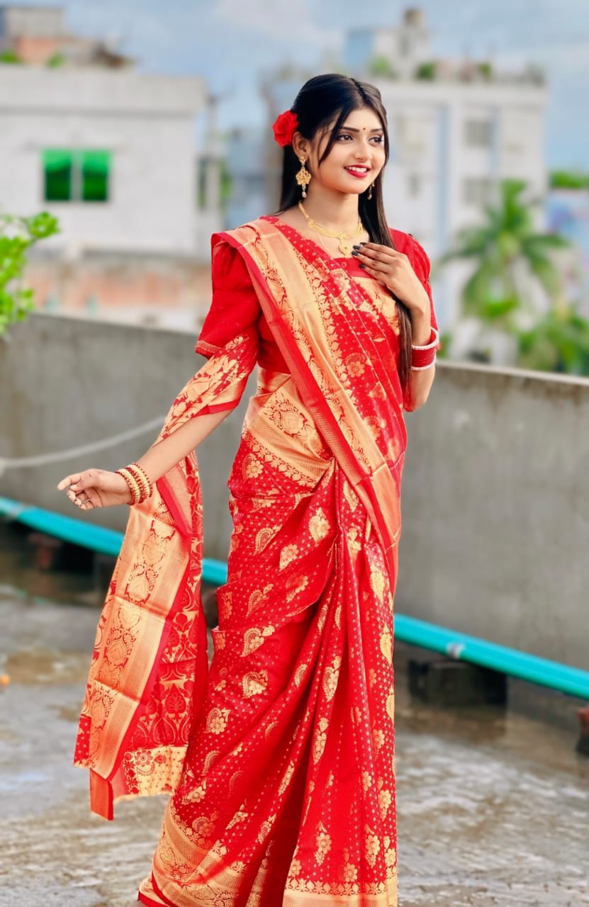 সফট সিল্ক কাতান শাড়ি 12 হাত শাড়ি কোন ব্লাউজ পিস নাই l_1