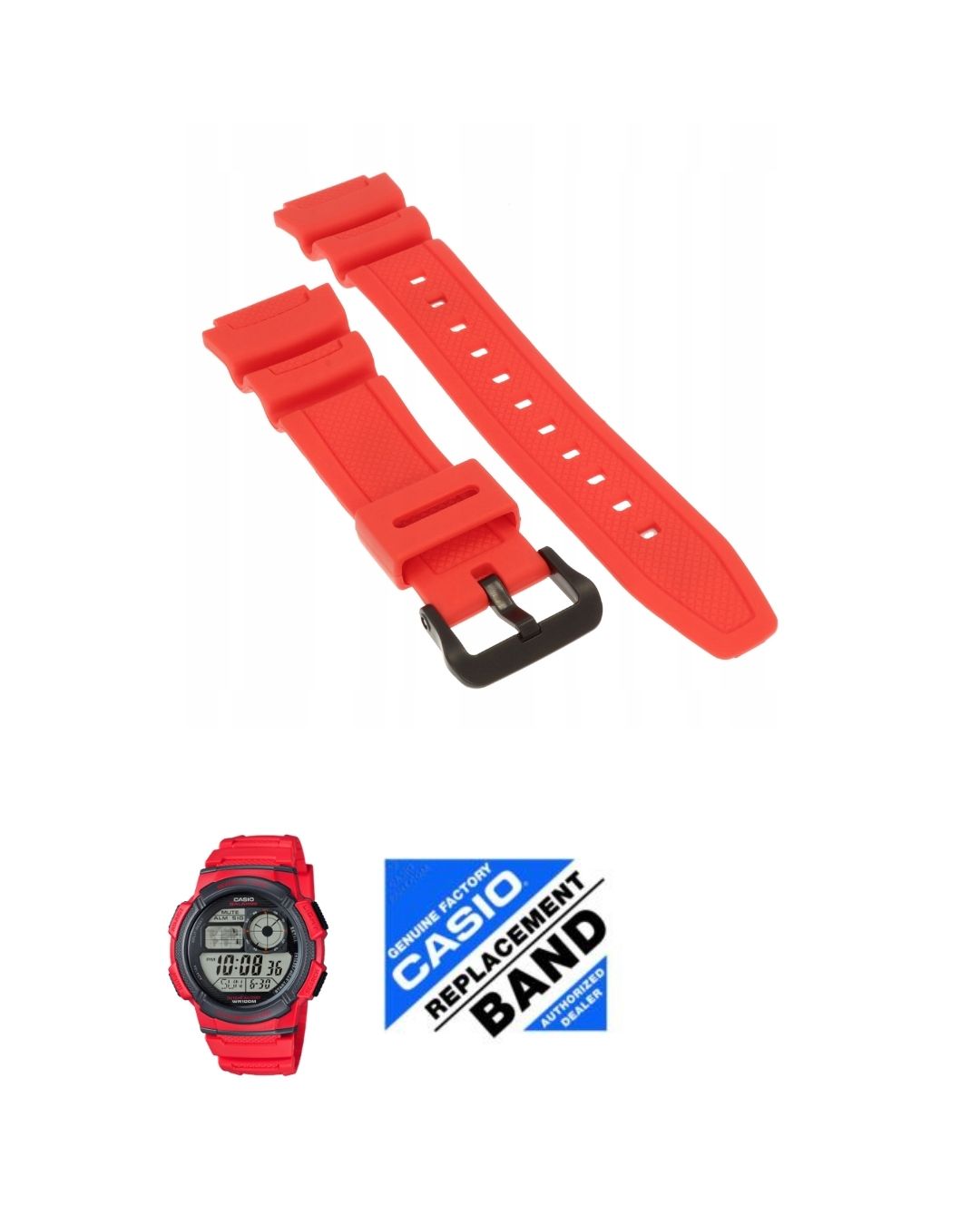 AE-1000W-4AV Resin Strap_0