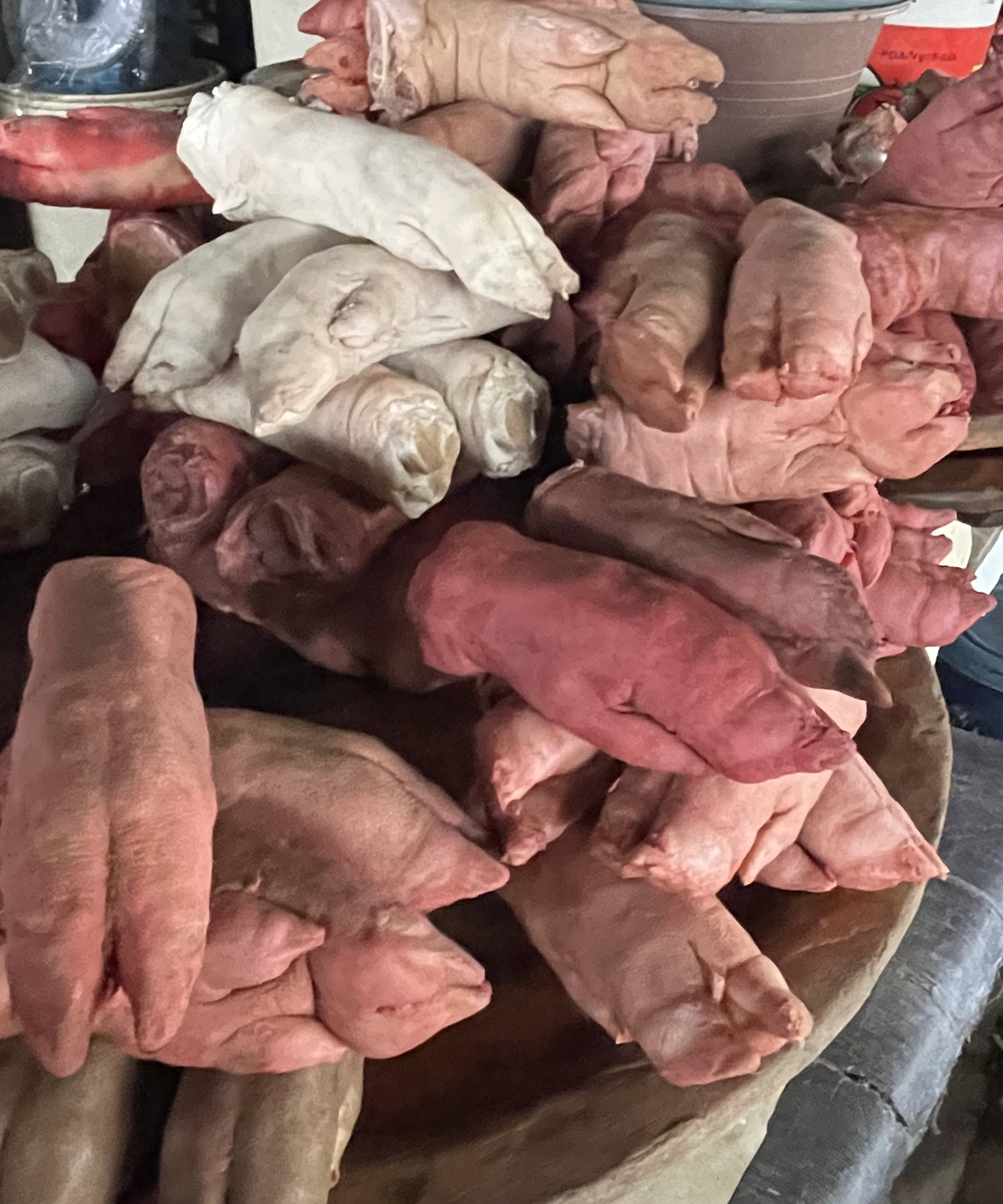 Pig feet (Nane)_1