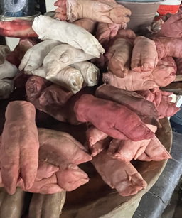 Pig feet (Nane)