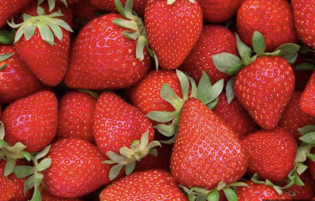 Fresas