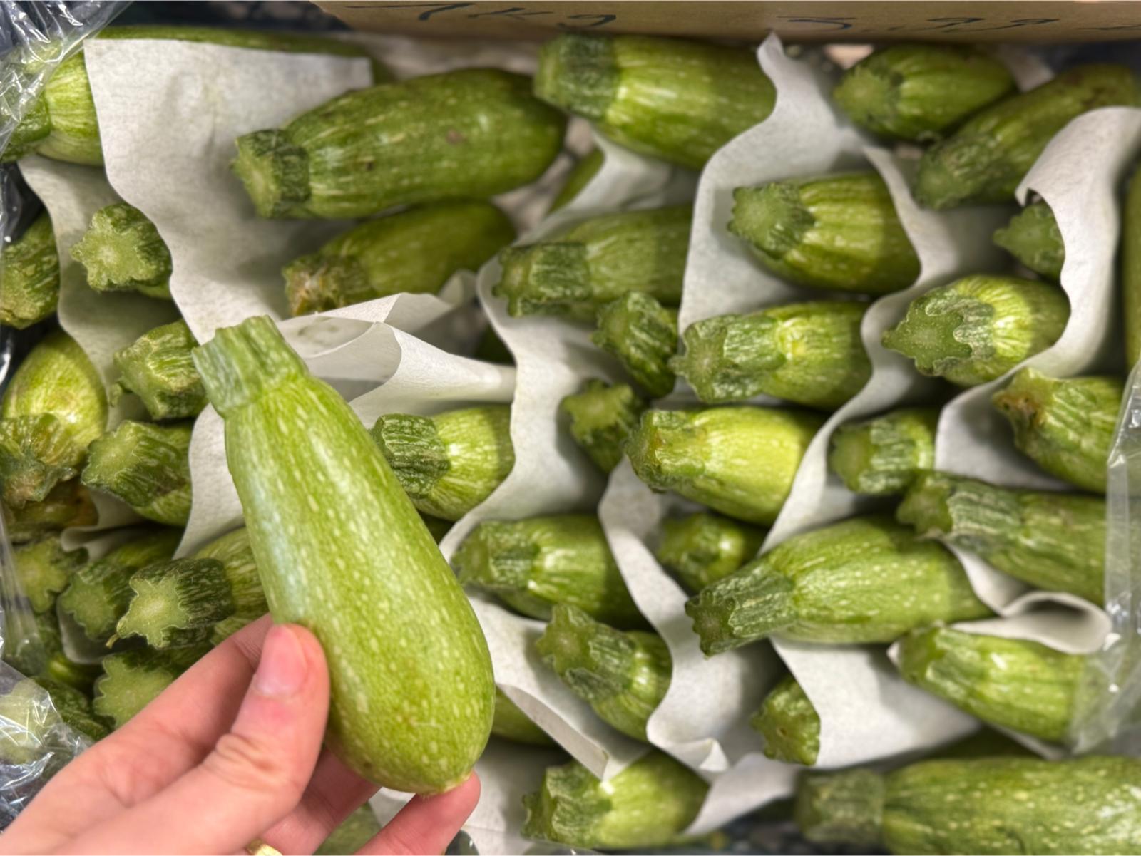 كوسا بلدية | Zucchini_0