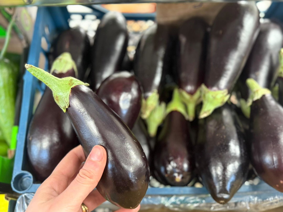باذنجان | Aubergine