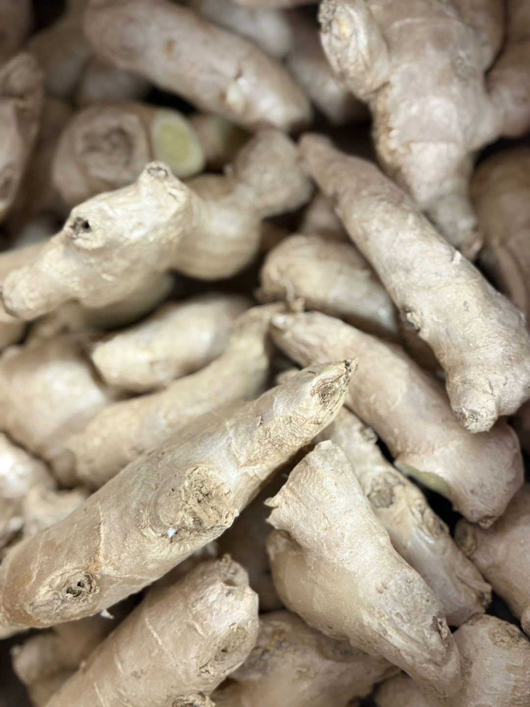 زنجبيل | Ingwer | 100g