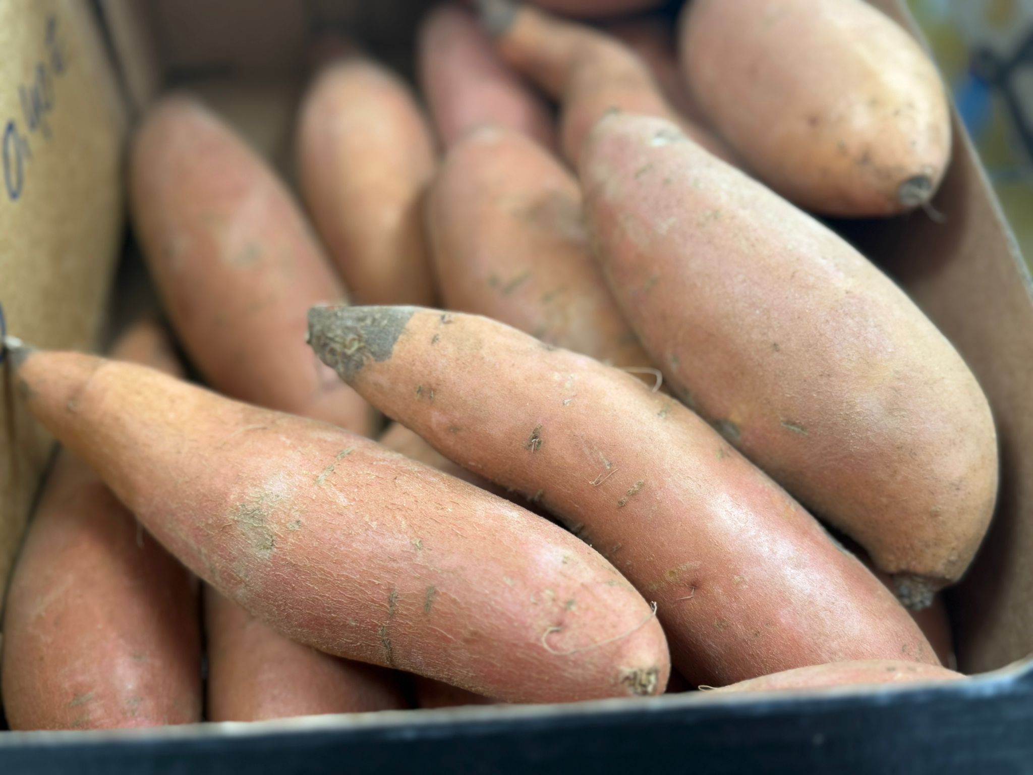 بطاطا حلوة | Süßkartoffel | 1Kg_0