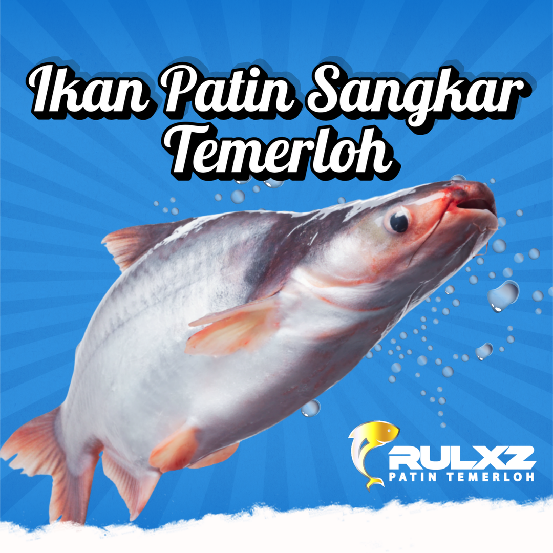 ikan patin sahaja
