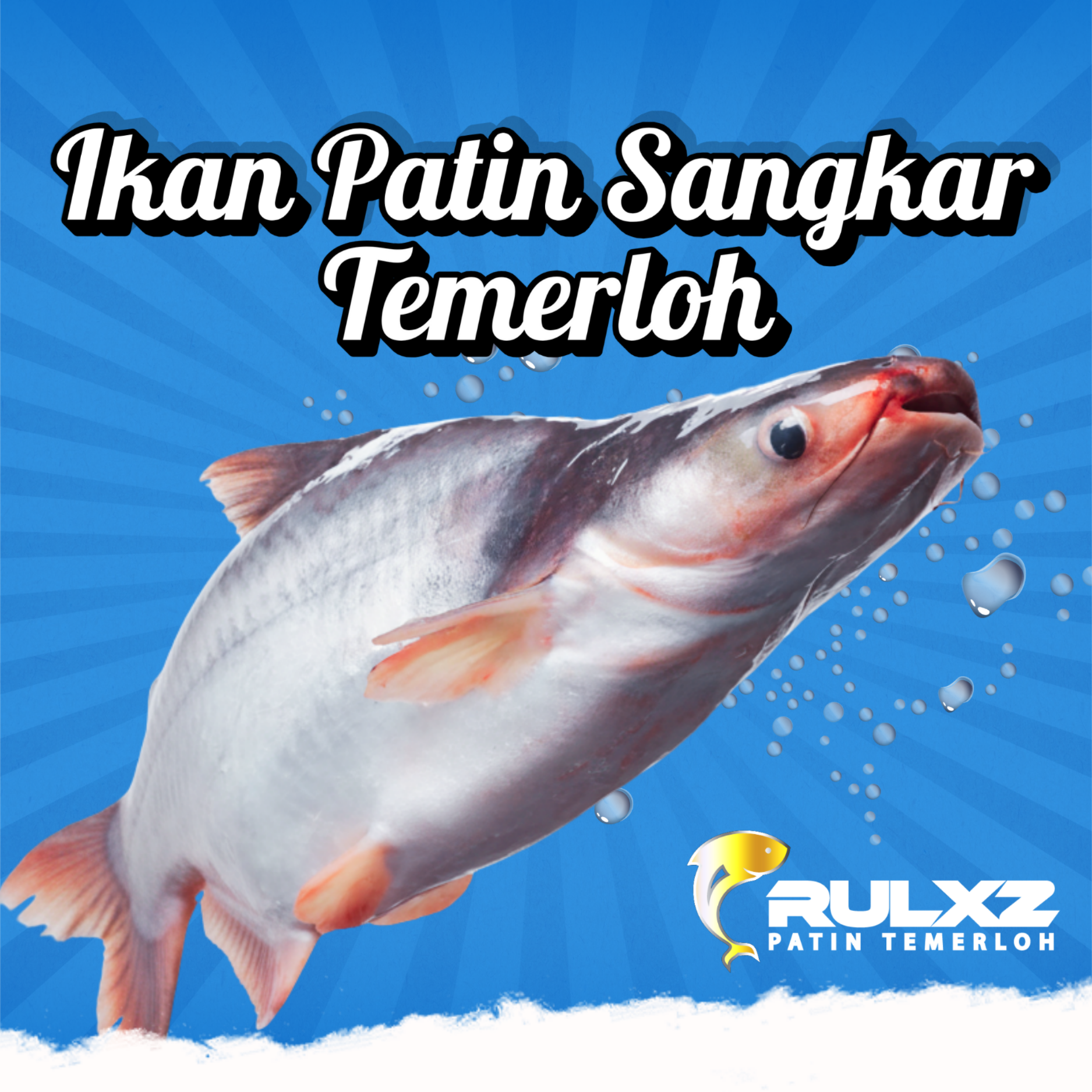 ikan patin sahaja_0