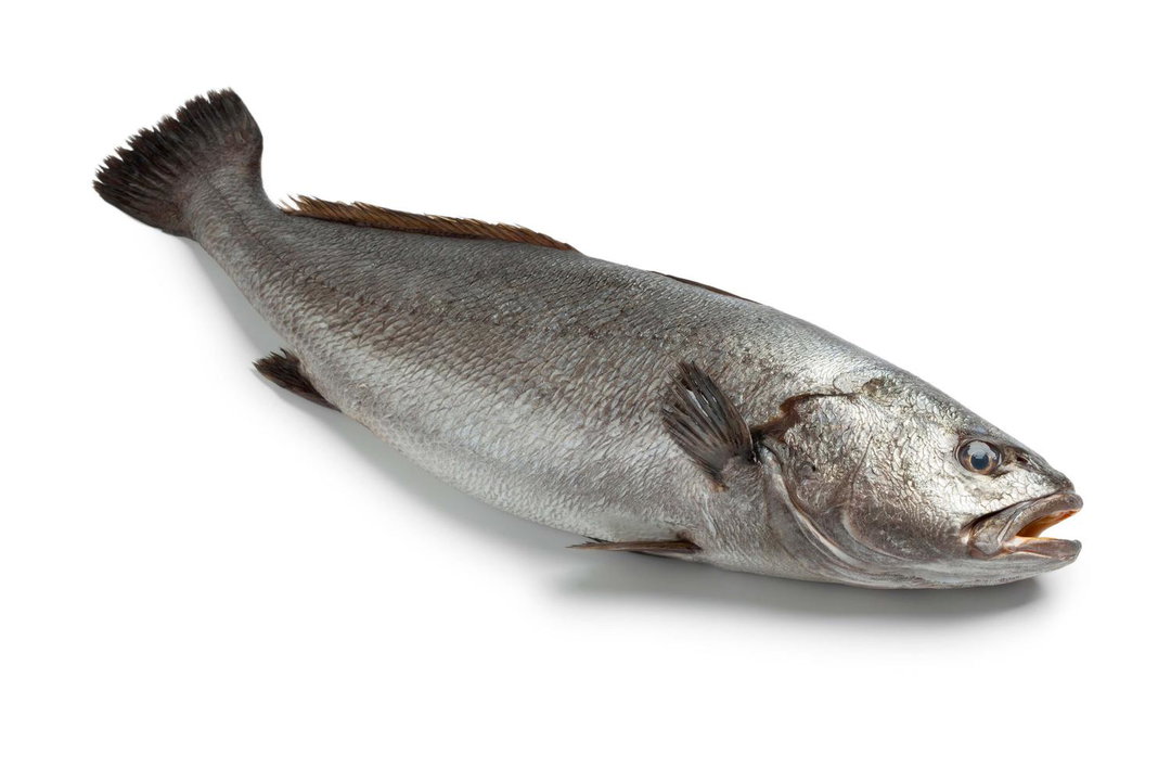 كربين صغيرة