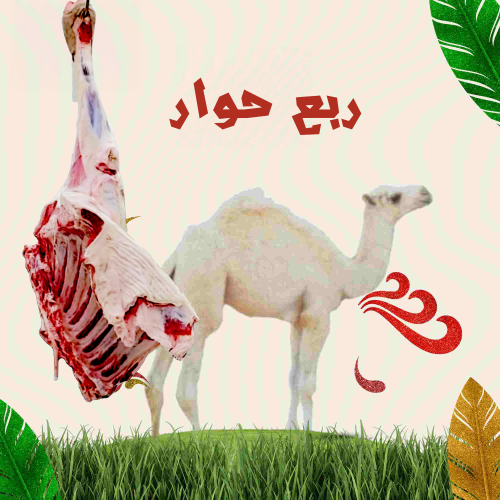 نص حوار 